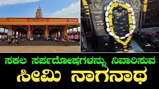 Temple video