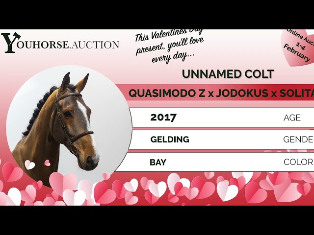 Unnamed Colt showvideo