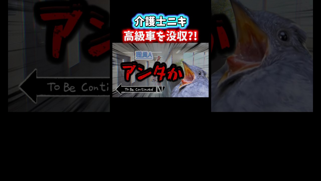 【速報】大事故発生。 #shorts #介護 #猫ミーム #鳥ミーム