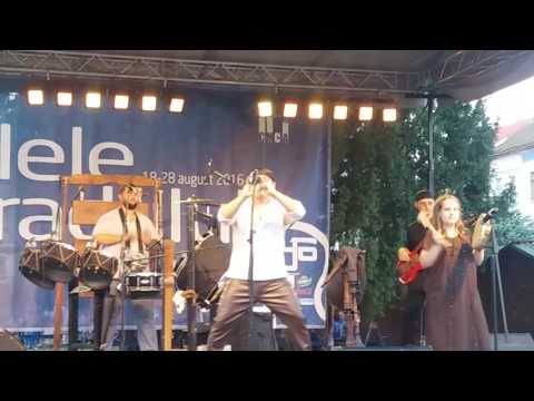 Lupus Dacus - Ai Vist Lo Lop ... Zilele Aradului 2016