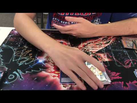 Clifton Land - 2nd Place YCS Niagara - Lunalight Orcust