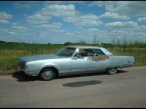 Mann hat 50 Pinguine im Kofferraum!