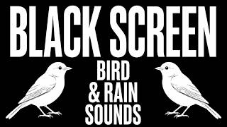 Download lagu Bird & Rain Sounds for Sleeping 🌧️ Black Screen | 5 Hours of Deep Sleep & Relaxation mp3