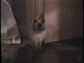 Homeward Bound TV Promo 1996