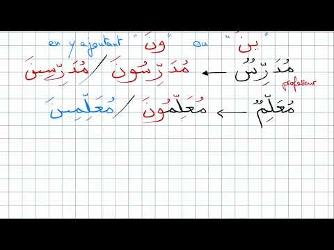 Arabic Lesson 4: Regular and Irregular Plurals