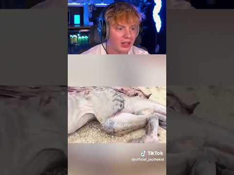 Mythical Creatures Caught on Camera! 😱