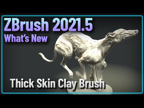 057 ZBrush 2021.5 - Thick Skin Clay Brush - Create your own Thick Skin Brushes!