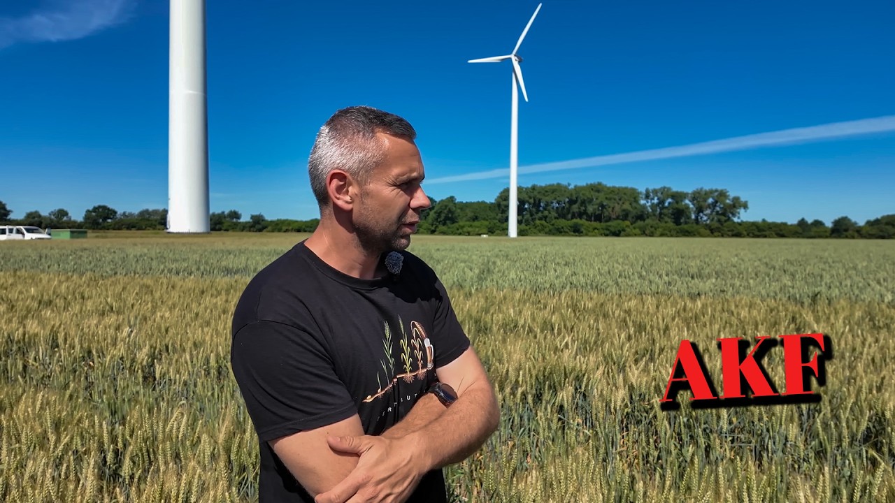 AKF Precision Planting vs. Tempo – der Unterschied ist krass | Mais in Direktsaat nach Hanf