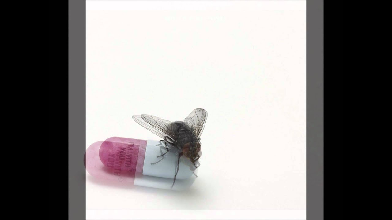 Red Hot Chili Peppers - Annie Wants A Baby Guitar pro tab