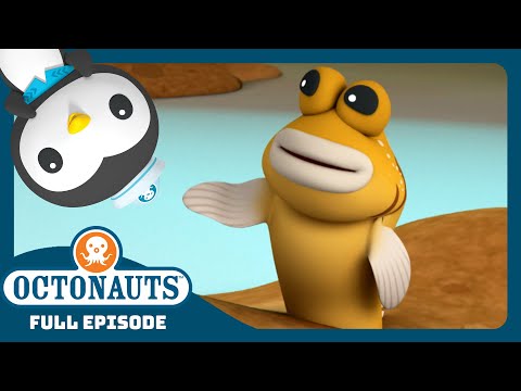@Octonauts - 🐠 The Mudskippers 💦 | Season 3 | Full Episode | Cartoons for Kids