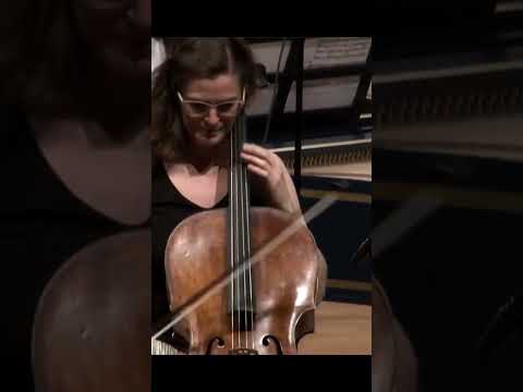C.P.E. Bach - Cello concerto in A Major Wq 172 - Monika Leskovar