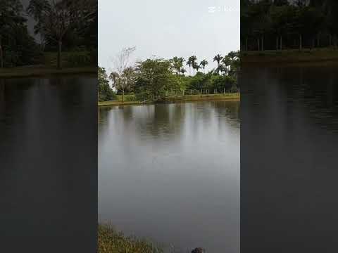 Lago do Junco Maranhão