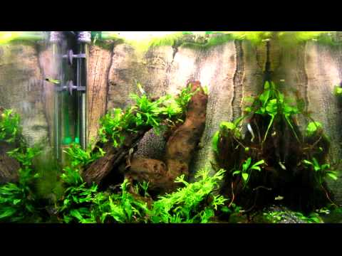 Watch Video on YouTube