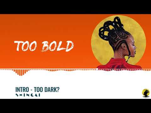 SHINGAI - Intro - Too Dark?