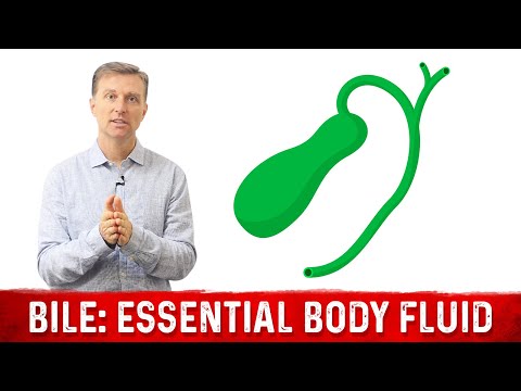 BILE What is BILE and Where is it Produced – Dr Berg
