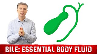BILE: A Vitally Important Body Fluid