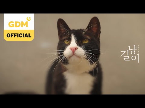 Video thumbnail for 길냥이 (Stray Cat)