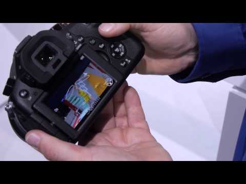 FZ1000 Bridge Camera #PanasonicIFA