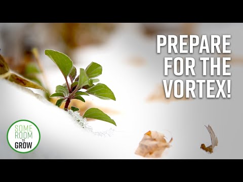 download lagu mp3 mp4 List Of Gardening Tasks, download lagu List Of Gardening Tasks gratis, unduh video klip List Of Gardening Tasks