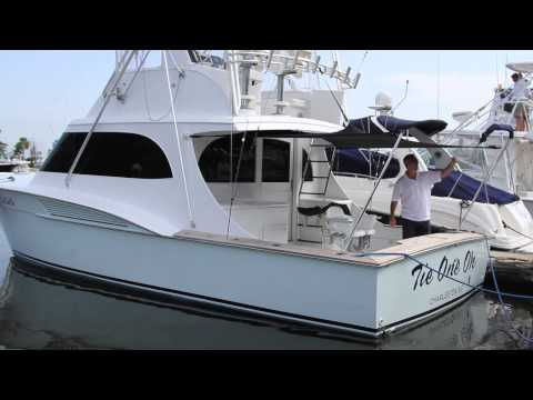 Ultimate Boat Shade by TTop Boat Covers