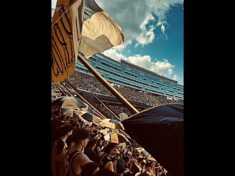 "Esta hinchada se merece ser campeón - Peñarol" Barra: Barra Amsterdam • Club: Peñarol • País: Uruguay