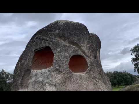 IV Mes de la Reserva de la Biosfera Tajo-Tejo Internacional 2020. Ruta botánico medicinal.