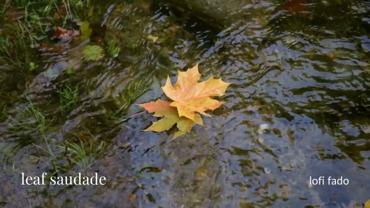 leaf saudade 🍃 melancholic fado lofi ambience for deep focus and tender memory