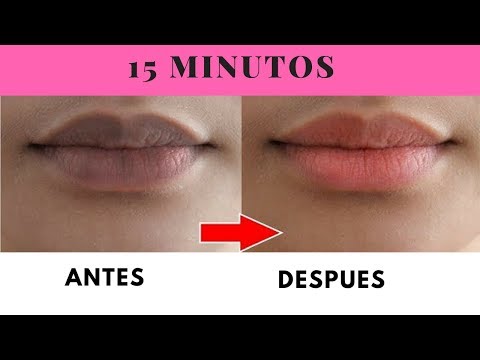 download lagu mp3 mp4 Labios Rosados, download lagu Labios Rosados gratis, unduh video klip Labios Rosados
