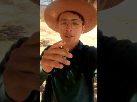 #argentina #campo #pueblo #nogoli#sanluis