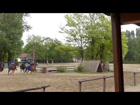 Budapest Horse Show 2015 long