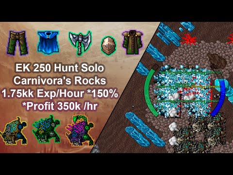 Tibia Elite Knight 253(250+) Solo Hunt/Port Hope Carnivora's Rocks/1.75kkExp/Hour 150%Profit 350k/hr