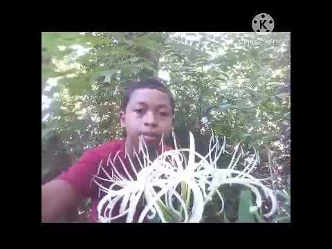 ceramah ustadz radit,yaitu,belajar sabar menghadapi perangai manusia