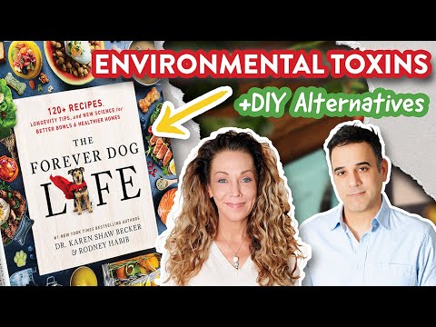Environmental Toxins & The Forever Dog Life
