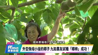 [問卦] 台灣土特產是不是沒有進步過？