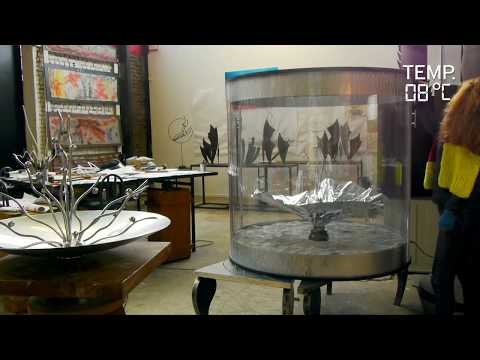 VITAE Project - Terrestrial Tests / MoonBox