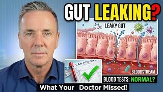 The Gut Barrier Breakdown: What Blood Tests Miss