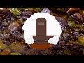 Jambukeswarar Temple Water Ancient Indian Legends Kids Story