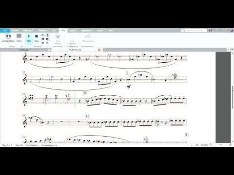 The ultimate Warm up   Flute Piccolo