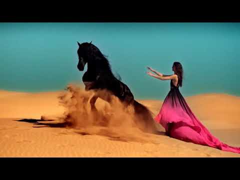 A horse with no name remix--America