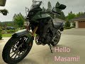 Hello Masami