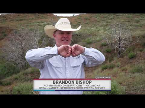 How NRCS Helps Cattle Producers in the Great Plains