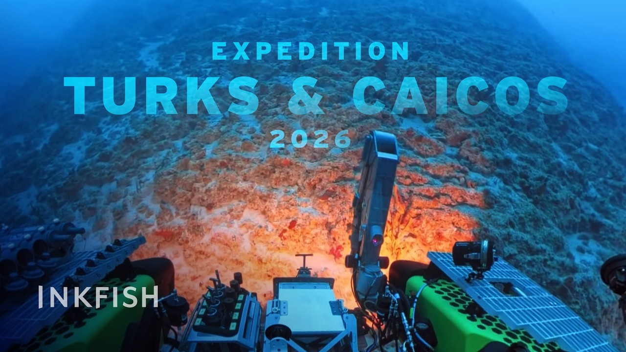 Expedition Turks & Caicos 2026: Mission Overview
