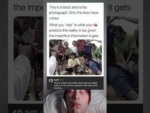 Optical Illusion Black And White Photo Trick Your Brain With Colors