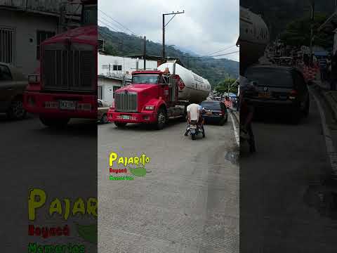 Pajarito - Boyacá (12:16 p.m.) (Marzo 29/2026)