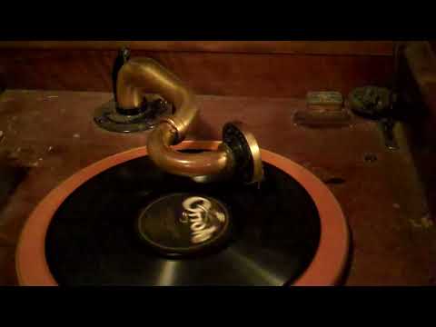 ADRIAN SCHUBERT JACK KAUFMAN - IT'S A PRECIOUS LITTLE THING CALLED LOVE - ROARING 20's VICTROLA 8-30