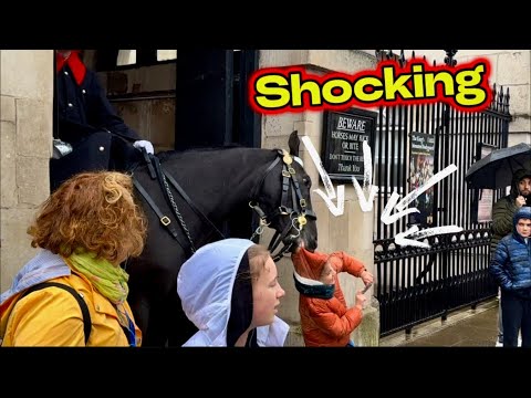 DANGEROUS ⚠️ king’s guard horse DRAGS a young boy at horse GUARDS