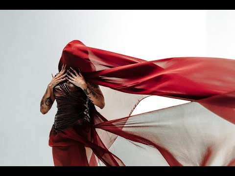 DAY LIMNS - FIEL (Visualizer Oficial)