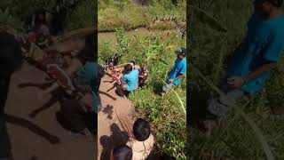 Download lagu Anak kecil yang hanyut di sungai sumedang mp3 Download lagu Anak kecil yang hanyut di sungai sumedang mp3