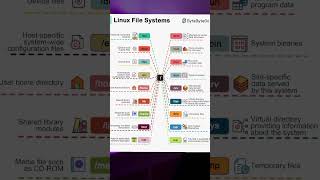 Understanding Linux File System in 10 Secs | Must-Know Folders for Developers & Linux Beginners