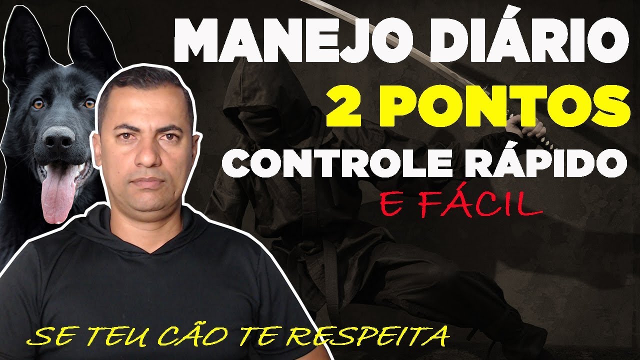 CONTROLE DO CÃO SIMPLES QUE FUNCIONA